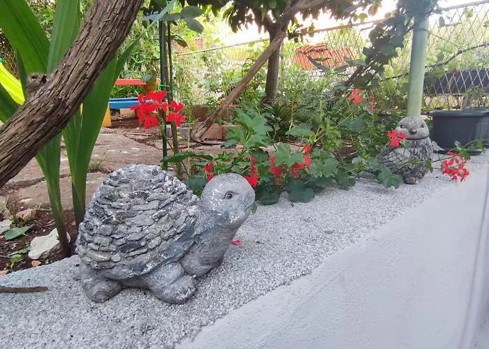 Apartment With Garden
