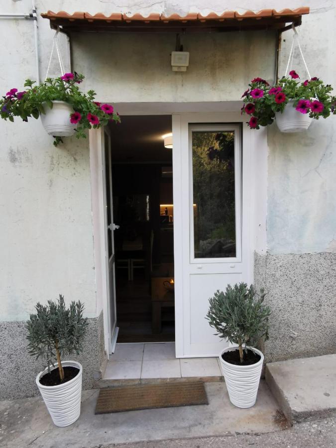 Apartamento With Garden *