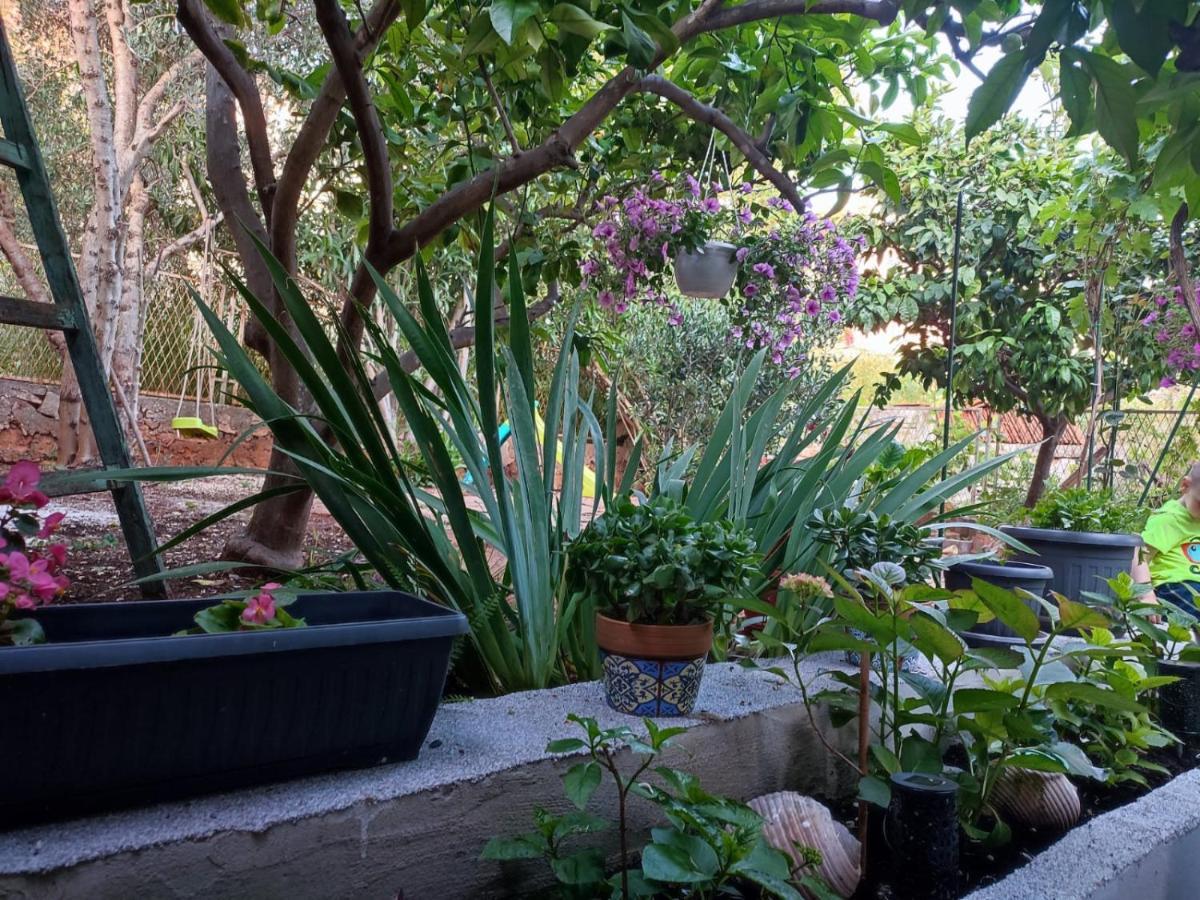 Apartamento With Garden Vela Luka
